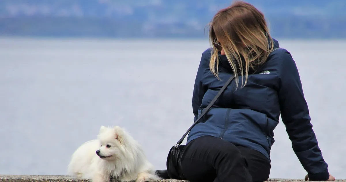 Example of a Facebook landscape link image at 1.91:1, 1200 x 630 pixels: a woman and a small white dog sitting on a wall by the sea