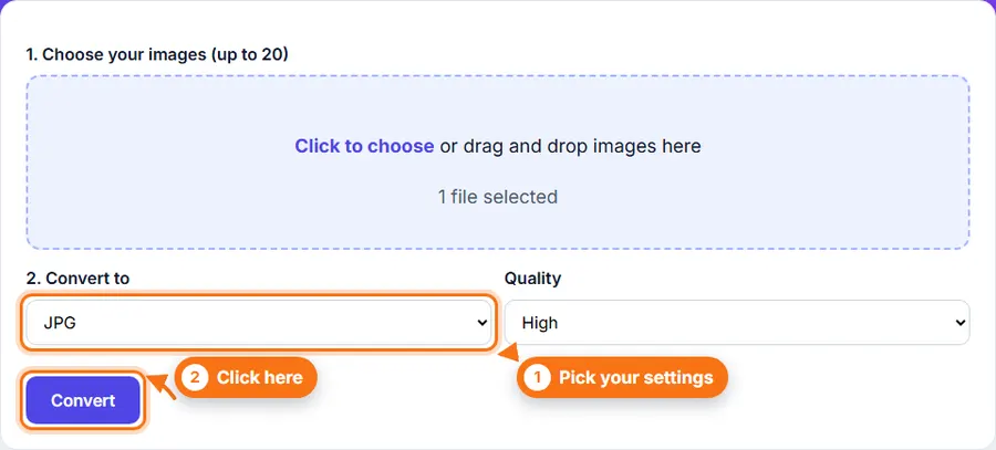 A file chosen in the Image Converter with the format and quality settings
