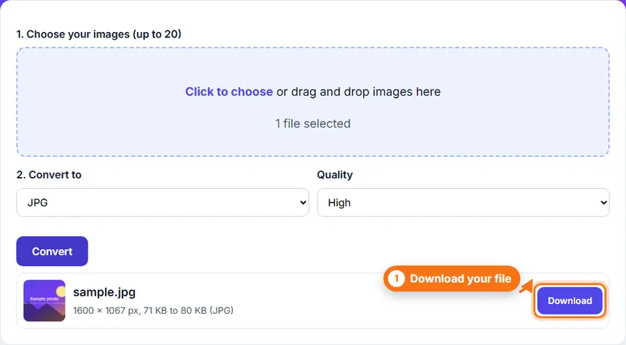 The converted file listed with its new size and a Download button