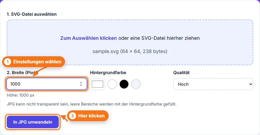 SVG in JPG: Datei ausgewählt, Einstellungen sichtbar