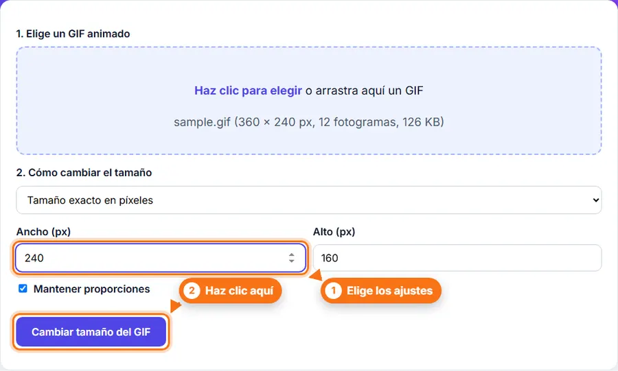 Cambiar tamaño de GIF: archivo elegido con los ajustes a la vista