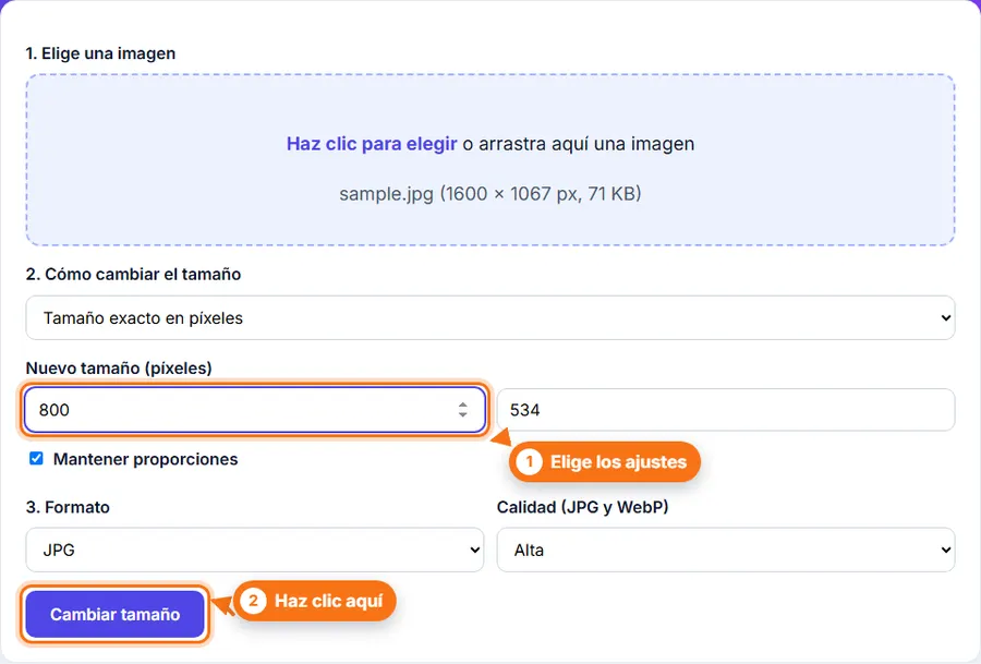 Cambiar tamaño de imagen: archivo elegido con los ajustes a la vista