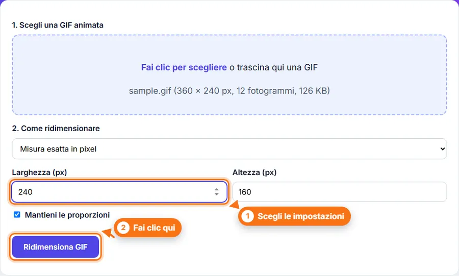 Ridimensiona GIF: file scelto, impostazioni visibili