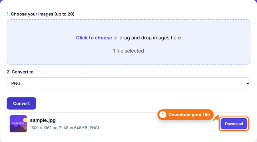 The converted file listed with its new size and a Download button